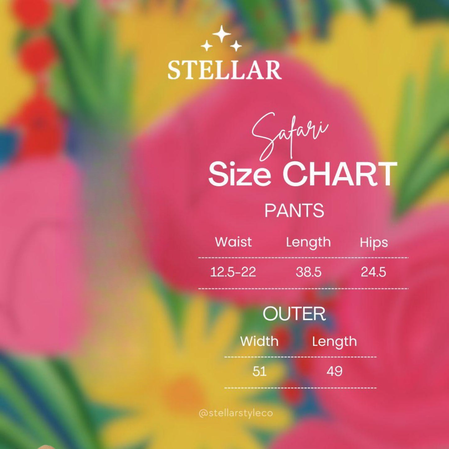 Stellar Safari